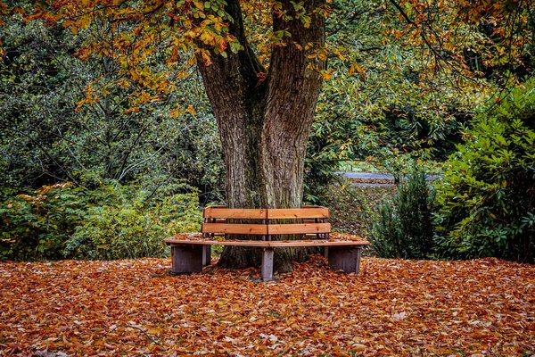 Guérissez avec l'introspection : 5 étapes vers votre bien-être
